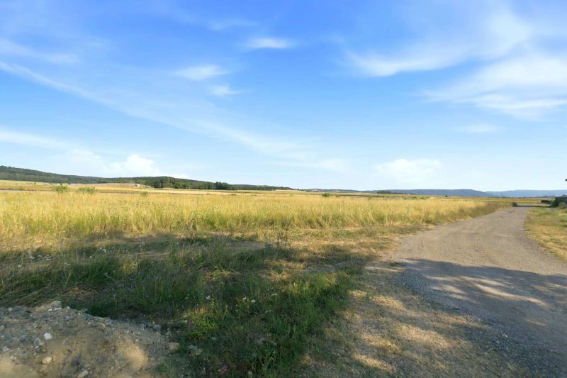 Gro�z�giges Baugrundst�ck mit eigener Zufahrt ? 1.175 m� und bis zu zwei Wohneinheiten /  / 2111&nbsp;Harmannsdorf / Bild 10